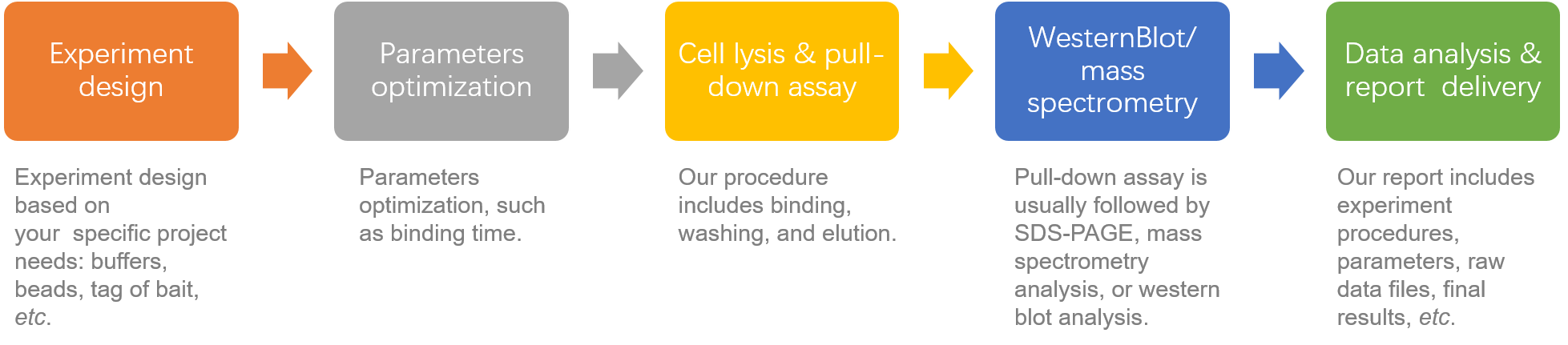 Pull-down Assay Services at Creative Proteomics